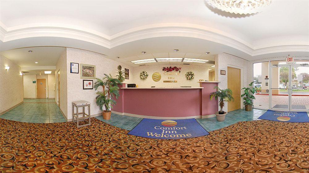Comfort Inn & Suites Deland - Near University Exterior photo